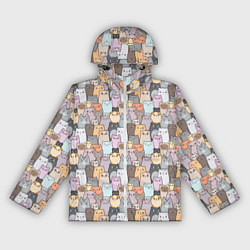 Женская ветровка Котики